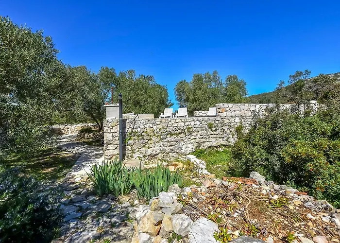 House Kastel * تكون